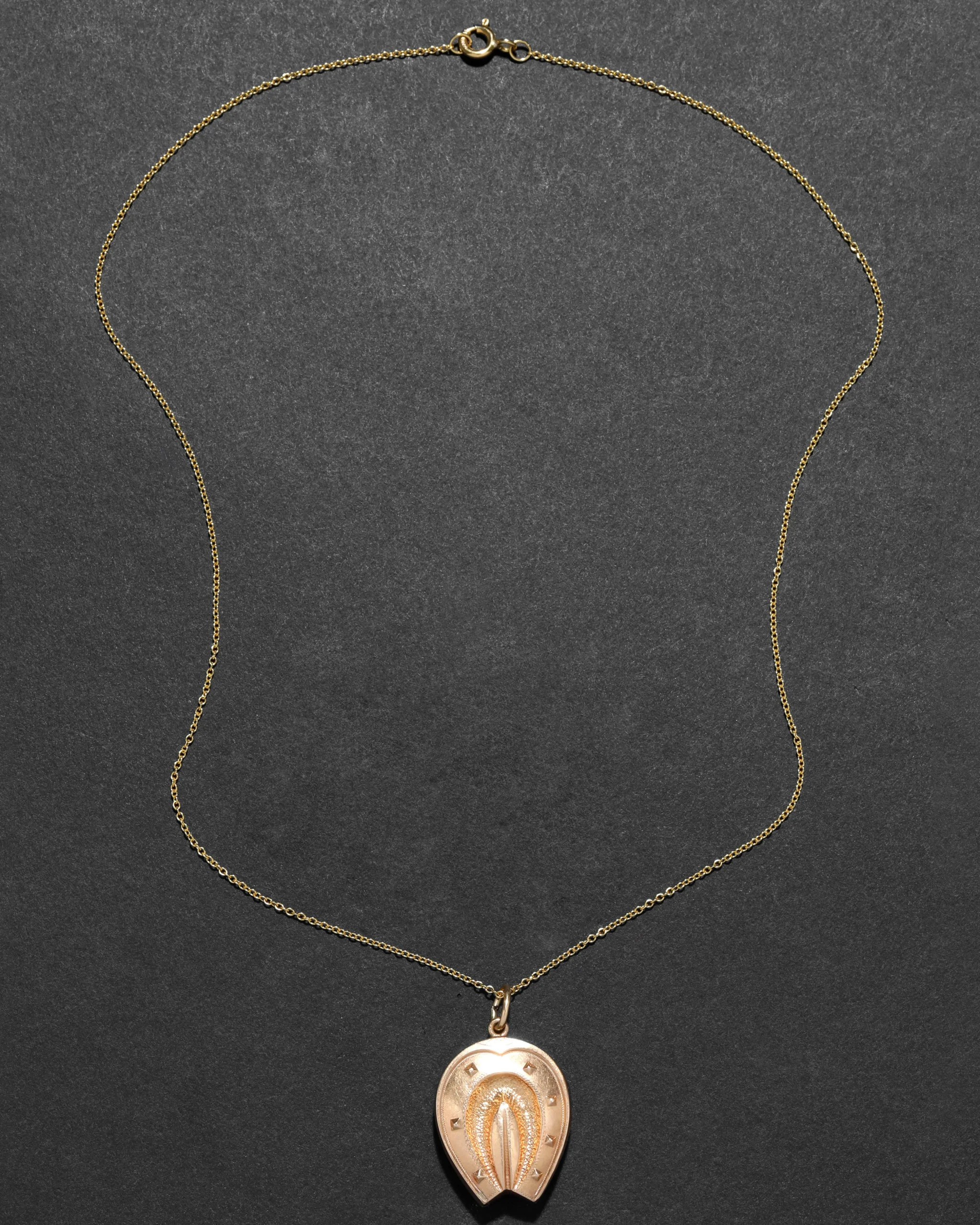 Antique 1800s 10k Rose Gold Horseshoe Locket Necklace
