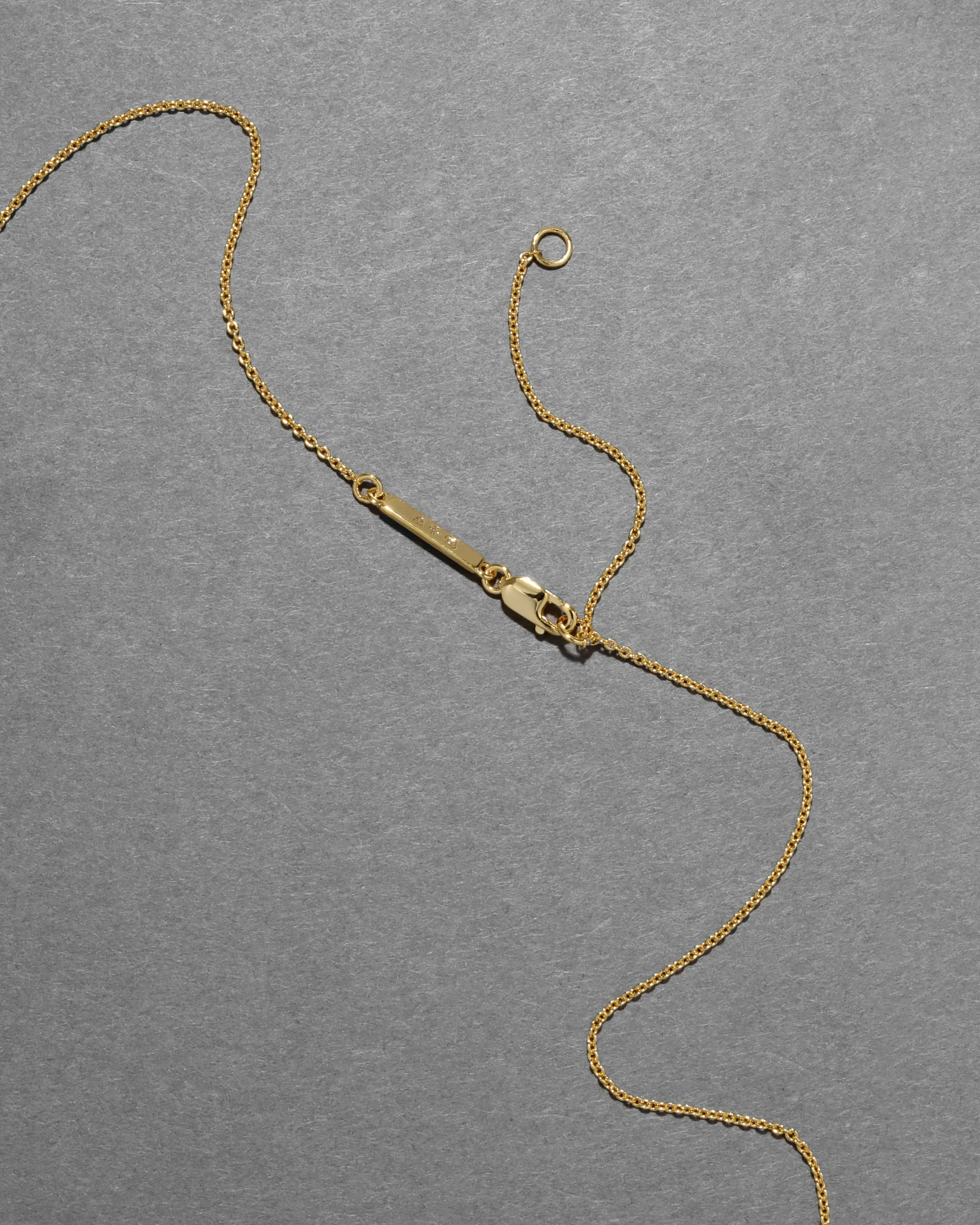 Asterales Bubble Necklace
