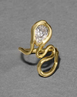 Asterales Floating Vine Ring