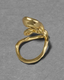 Asterales Floating Vine Ring