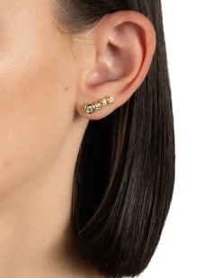 Asterales Gold Bar Earring