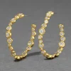 Asterales Gold Large Hoop Earring
