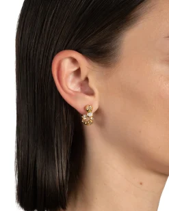 Asterales Gold Small Hoop Earring