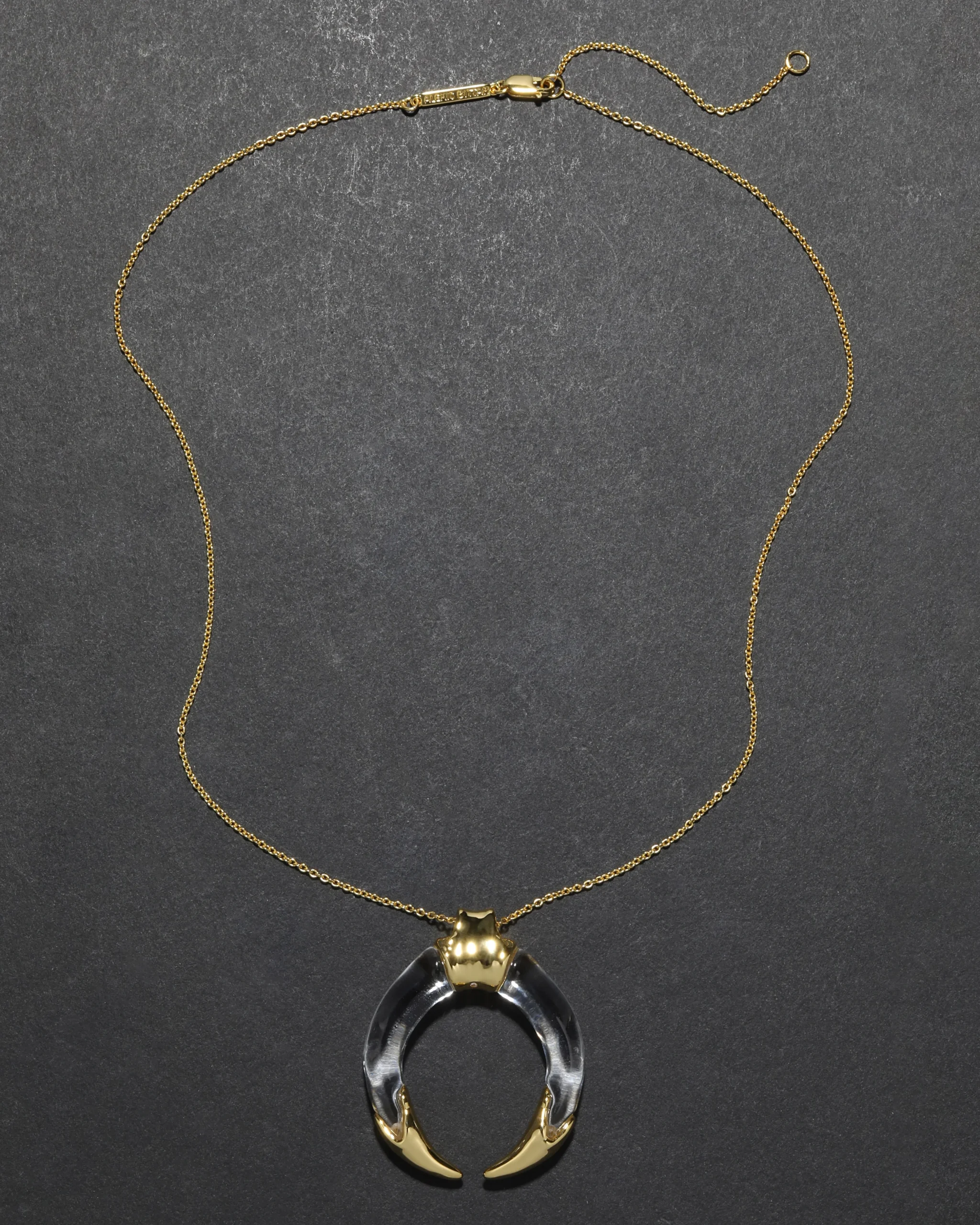 Gilded Tusk Lucite Necklace