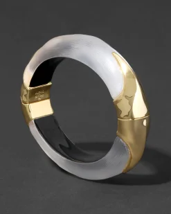 Lucite Claw Hinge Bracelet- Silver
