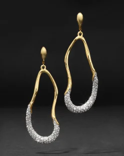 Solanales Crystal Curve Leverback Drop Earring