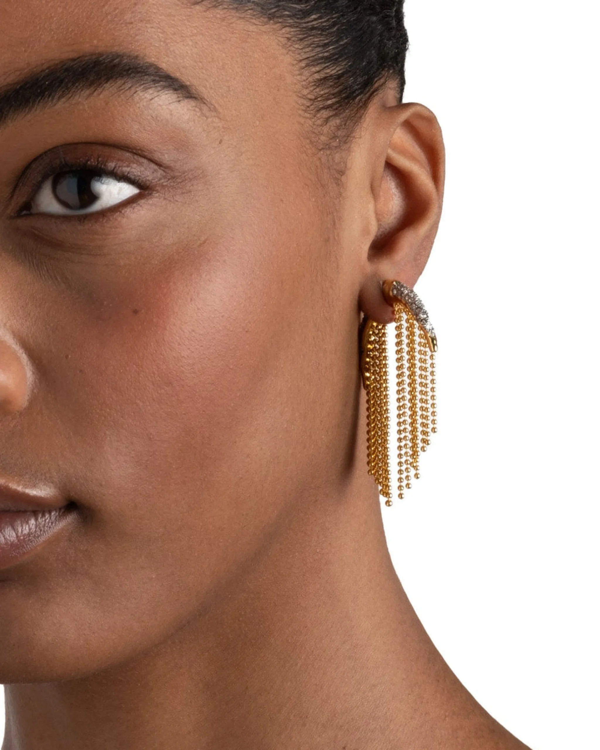 Solanales Crystal Fringe Front Back Earring