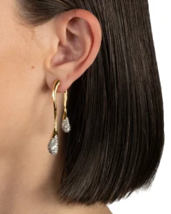 Solanales Crystal Front Back Double Drop Earring- Gold