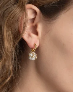 Solanales Crystal Petite Pebble Hoop Earring