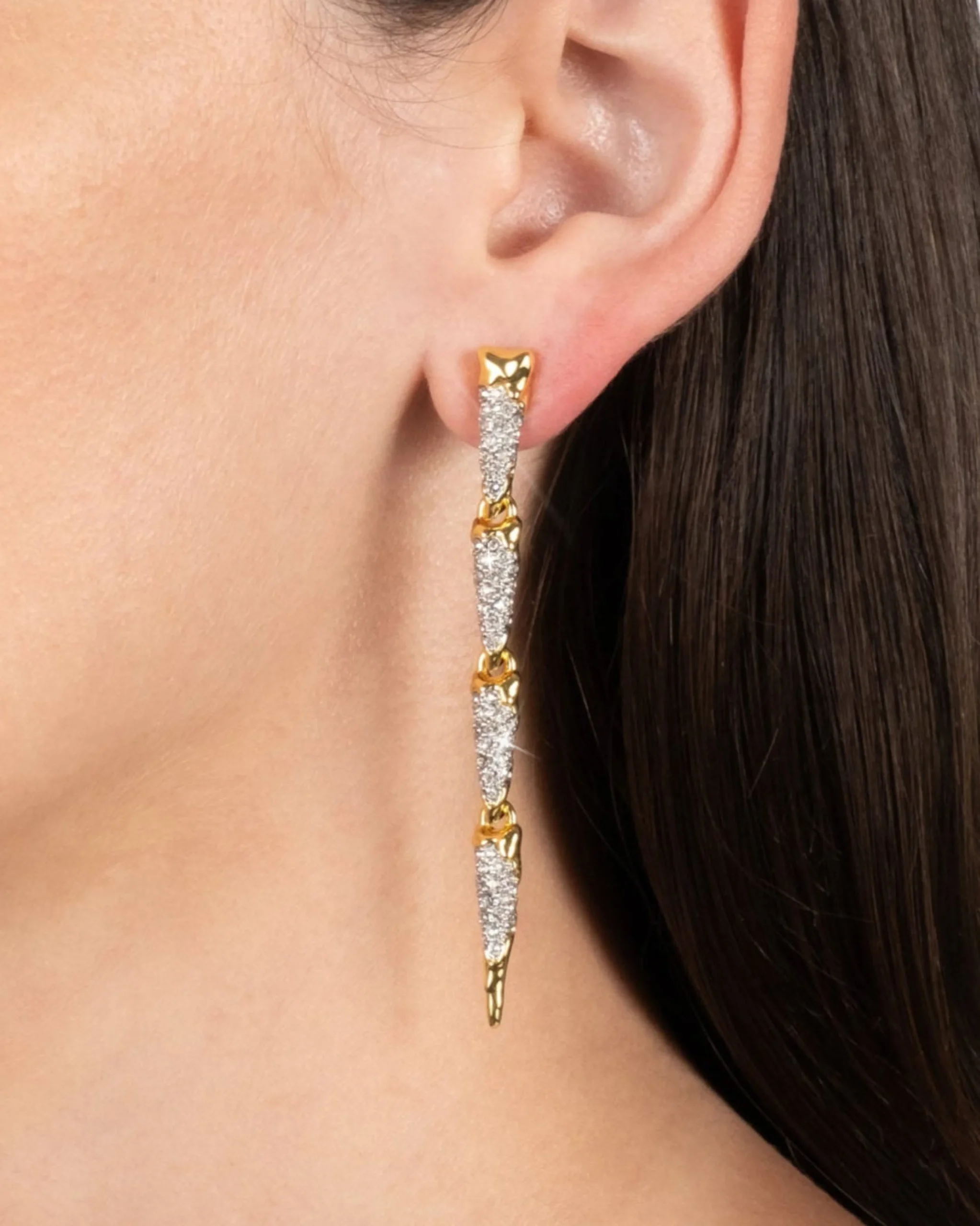 Solanales Crystal Spear Linear Earring